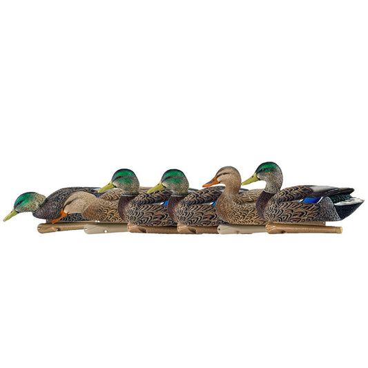 Avian X Topflight Early Season Mallard Duck Realistic Decoys, Multicolor, 6 Pack