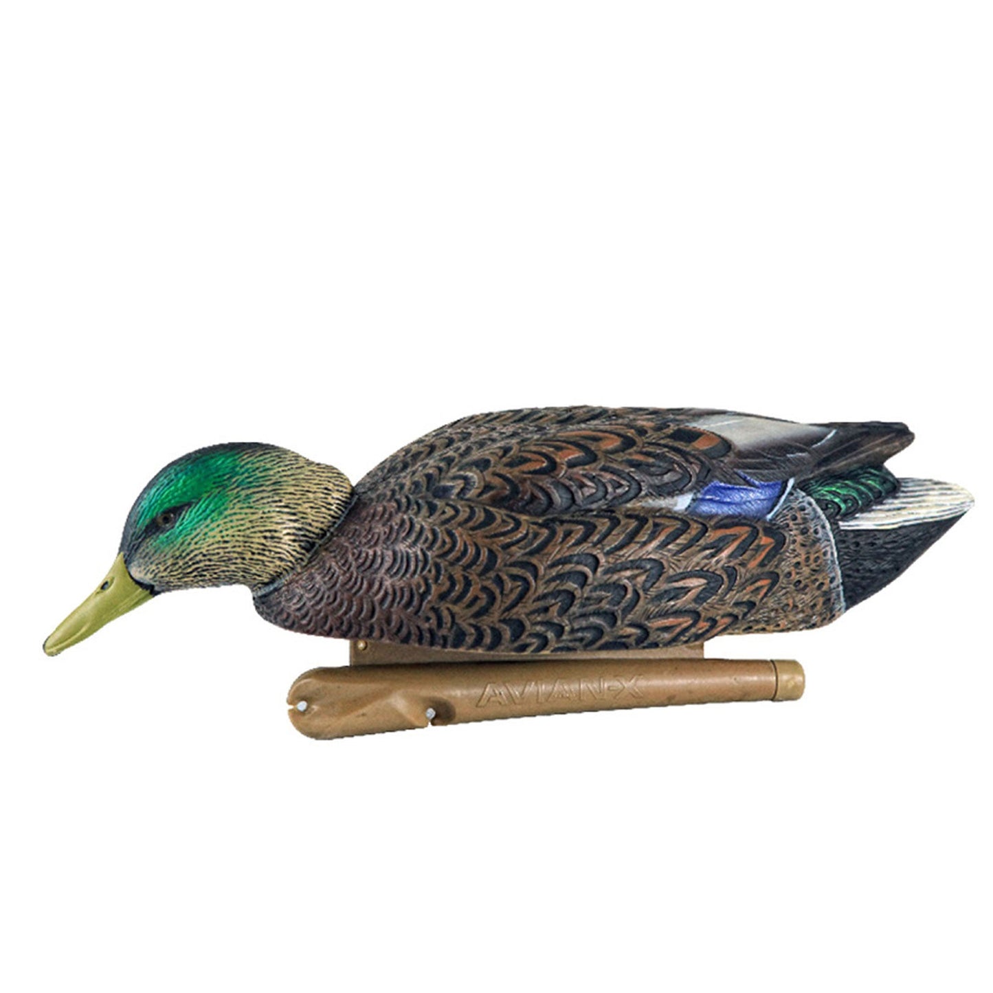 Avian X Topflight Early Season Mallard Duck Realistic Decoys, Multicolor, 6 Pack