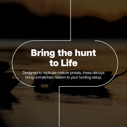 Avian X Topflight Pintails, Realistic Floating Decoys, Set of 6, Multicolor