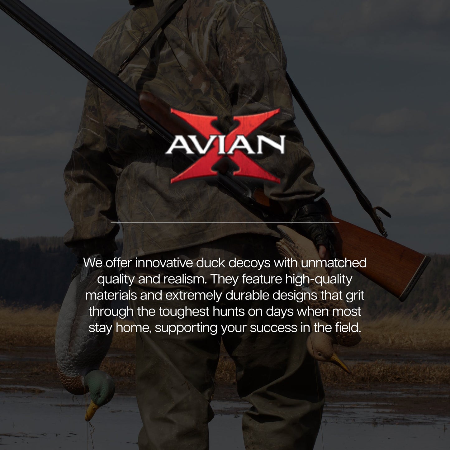 Avian X Topflight Pintails, Realistic Floating Decoys, Set of 6, Multicolor