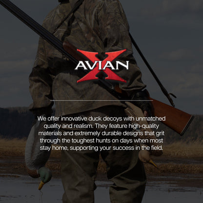 Avian X Topflight Pintails, Realistic Floating Decoys, Set of 6, Multicolor