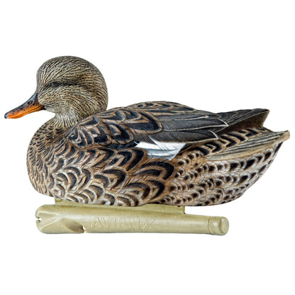 Avian X Topflight Gadwall Decoys Realistic Gray Ducks, Set of 6, Multicolor