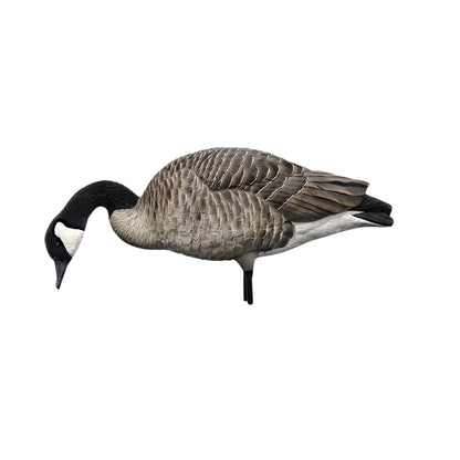 Avian X AXP Honkers Full Body Realistic Paint Canada Goose Decoys Fusion Pack