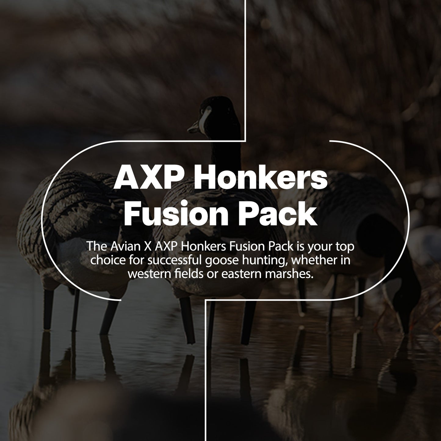 Avian X AXP Honkers Full Body Realistic Paint Canada Goose Decoys Fusion Pack