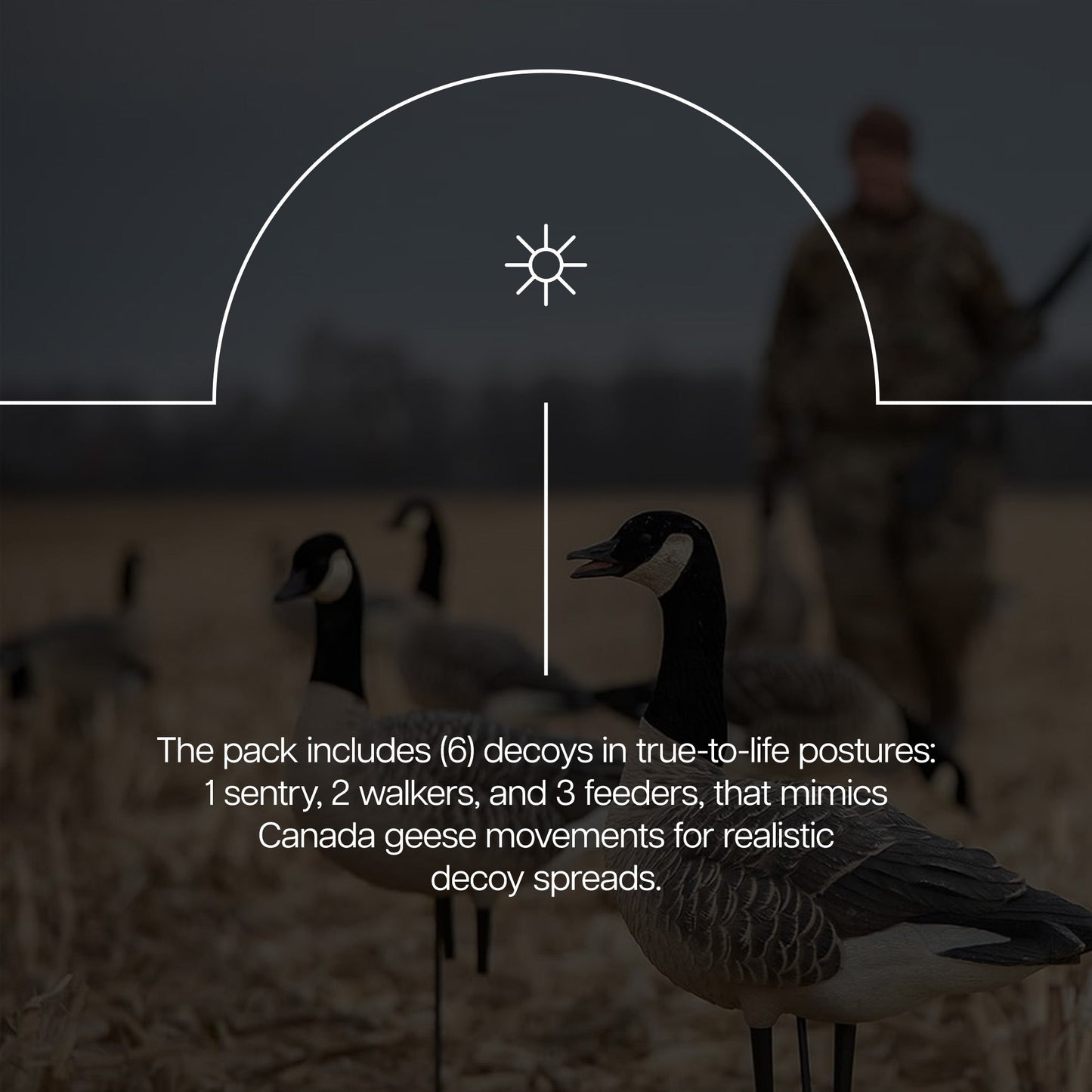 Avian X AXP Honkers Full Body Realistic Paint Canada Goose Decoys Fusion Pack