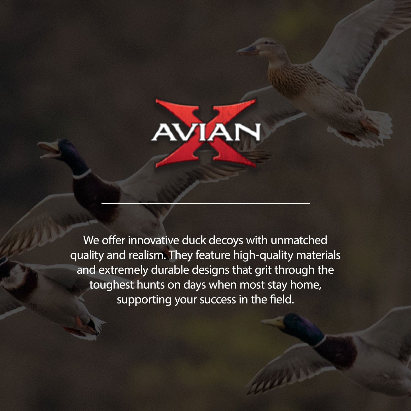 Avian X AXP Specklebelly Decoy Fusion Pack with Lasting Finish and Bag, 6 Pack