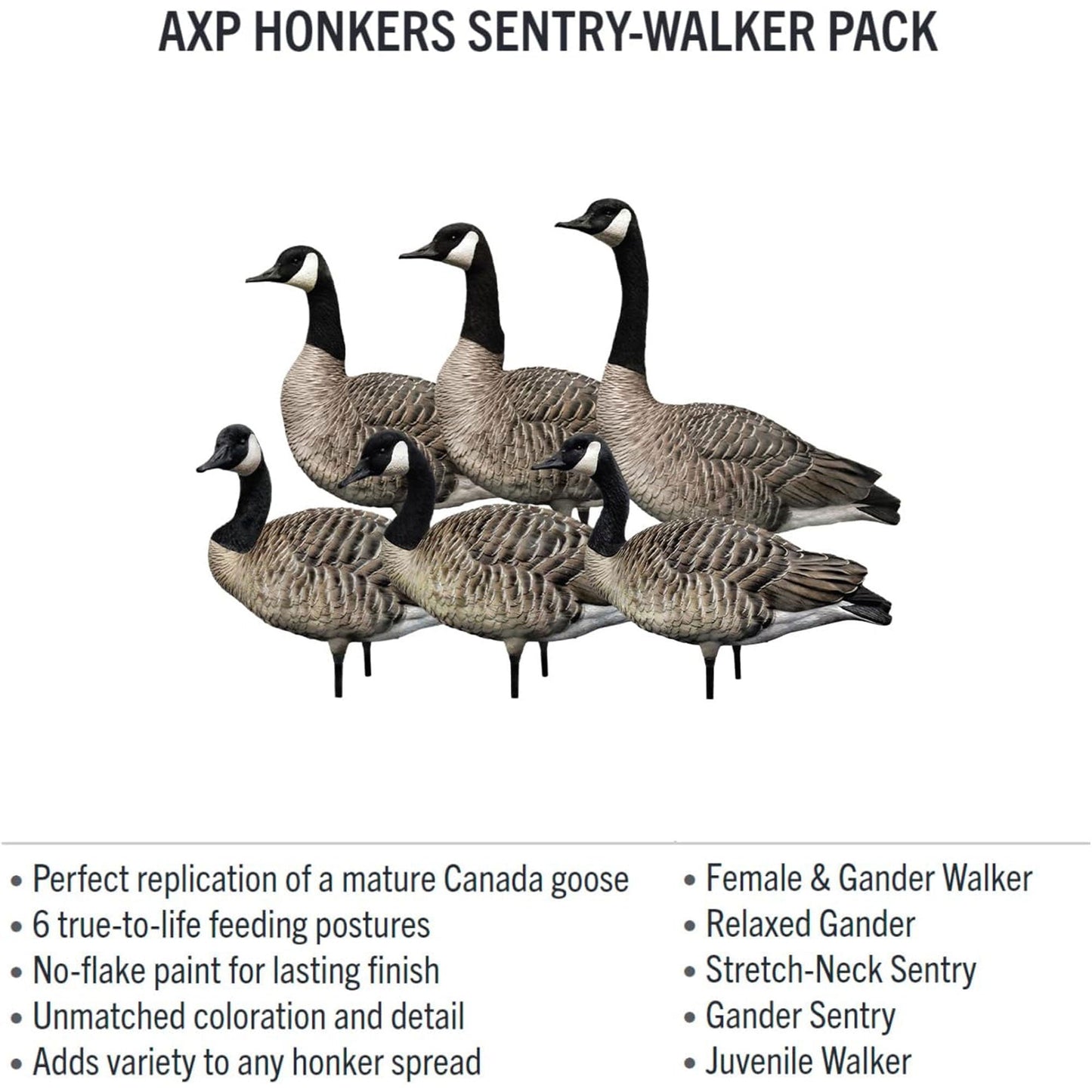 Avian X AXP Specklebelly Decoy Fusion Pack with Lasting Finish and Bag, 6 Pack