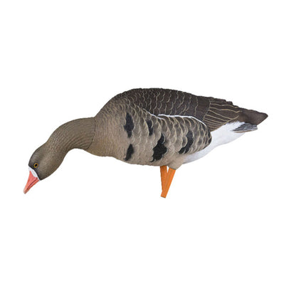 Avian X AXP Specklebelly Decoy Fusion Pack with Lasting Finish and Bag, 6 Pack