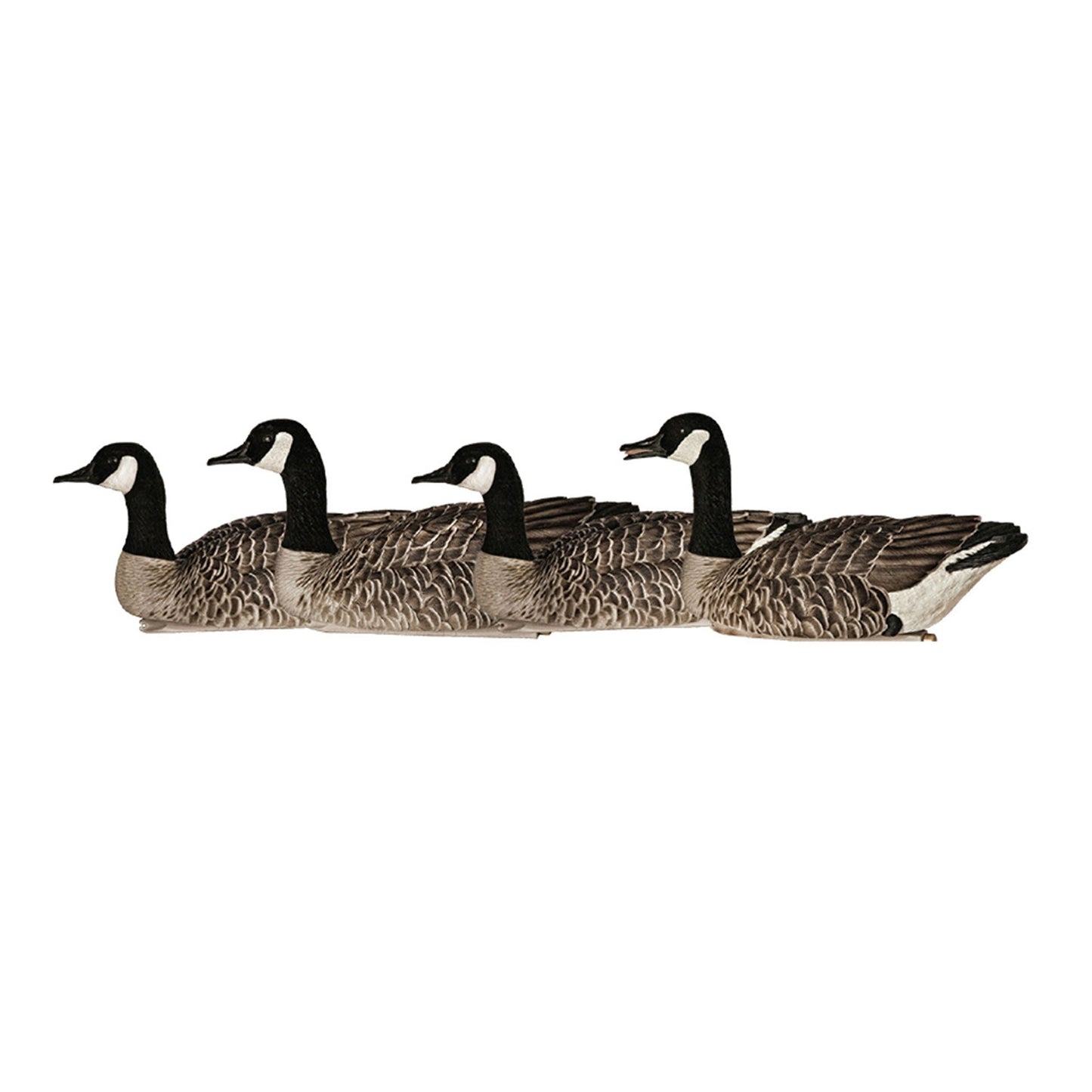 Avian X Topflight Honker Floaters with True to Life Postures for Hunting Use