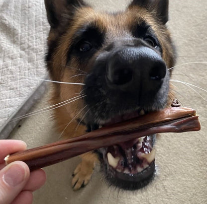 6 Inch Beef Jerky Stick