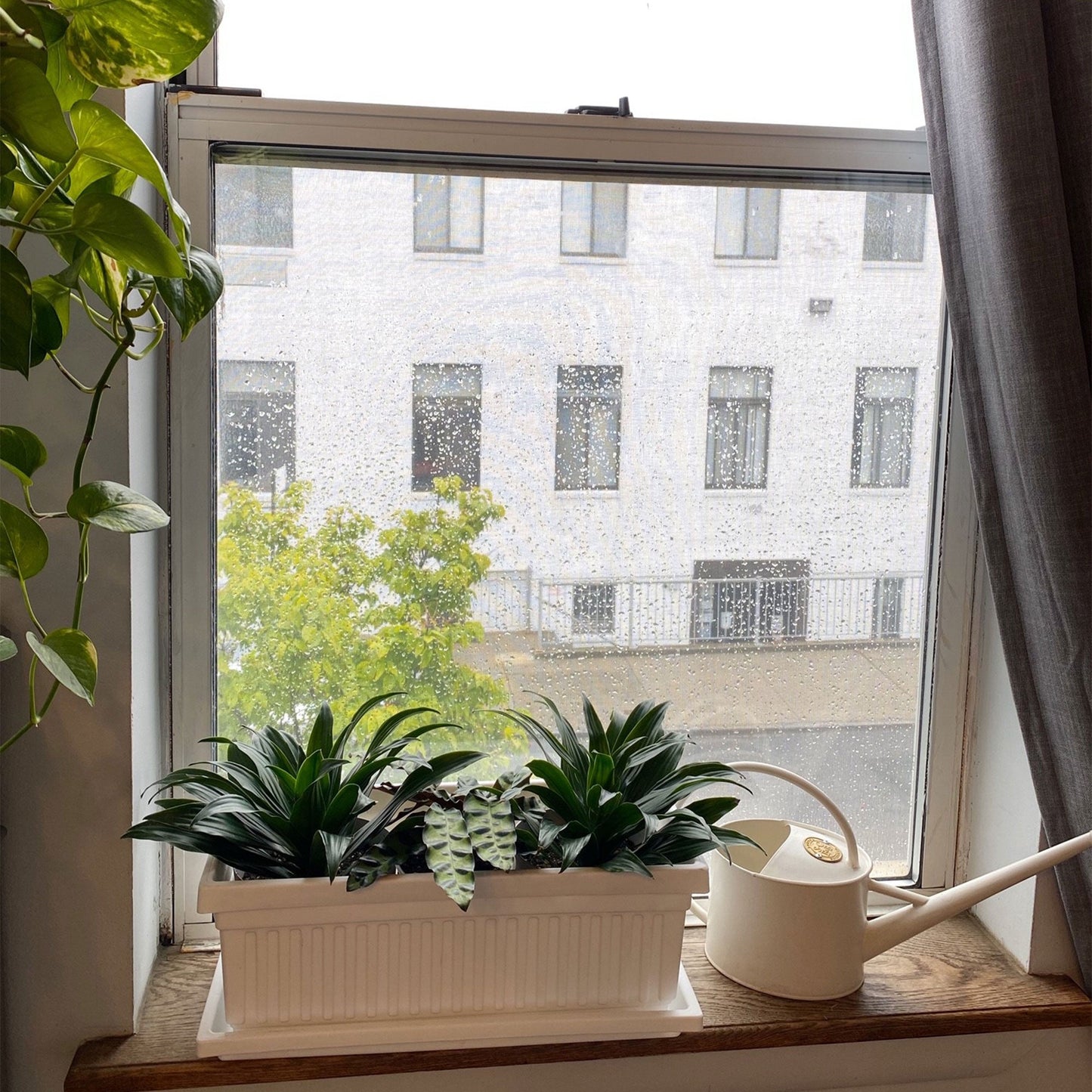 HC Companies 30 Inch Fluted Plastic Venetian Garden Flower Window Box (3 Pack)