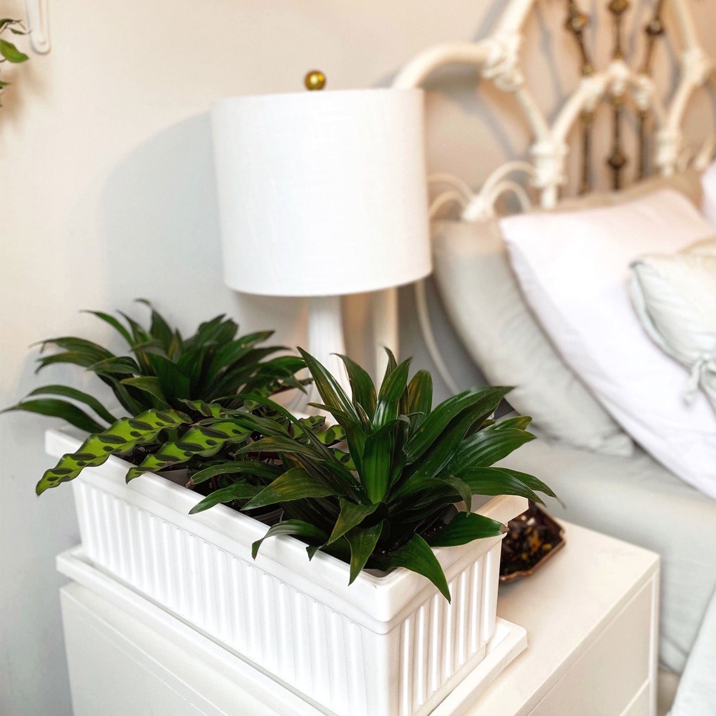 HC Companies 30 Inch Fluted Plastic Venetian Garden Flower Window Box (3 Pack)