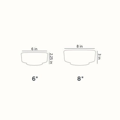 The HC Companies 8 Inch Capri Bowl Indoor Planter Pot, Vanilla Bisque (10 Pack)