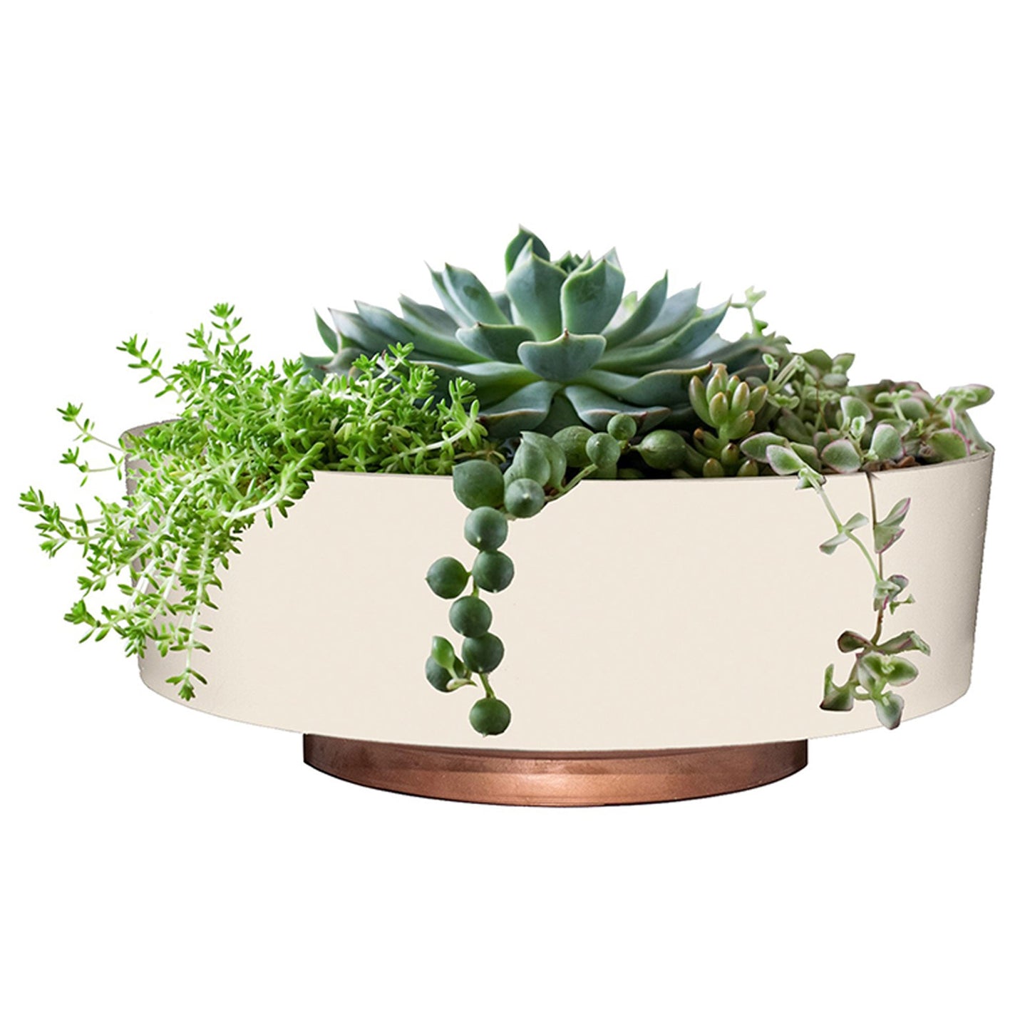 The HC Companies 8 Inch Capri Bowl Indoor Planter Pot, Vanilla Bisque (10 Pack)