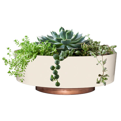 The HC Companies 8 Inch Capri Bowl Indoor Planter Pot, Vanilla Bisque (10 Pack)