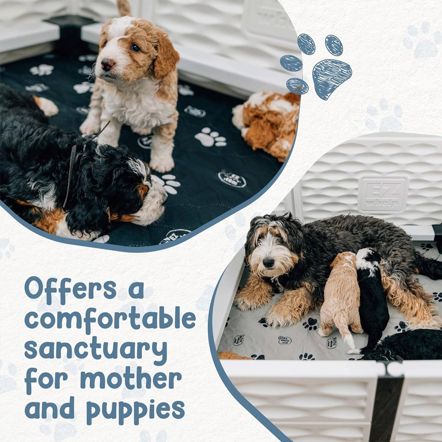 EZwhelp EZclassic 38" x 38" Puppy Dog Whelping Box Playpen with Rails & Liner