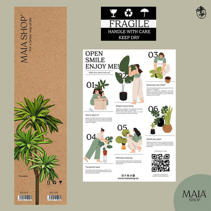 Maia Shop Artificial Dracaena Plant 3.5 Feet Tall Tropical Palm Tree, 41 inches