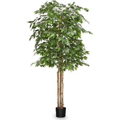 Maia Shop Artificial Ficus Tree 6 Feet Tall Tropical Home Decoration, 71 Inches