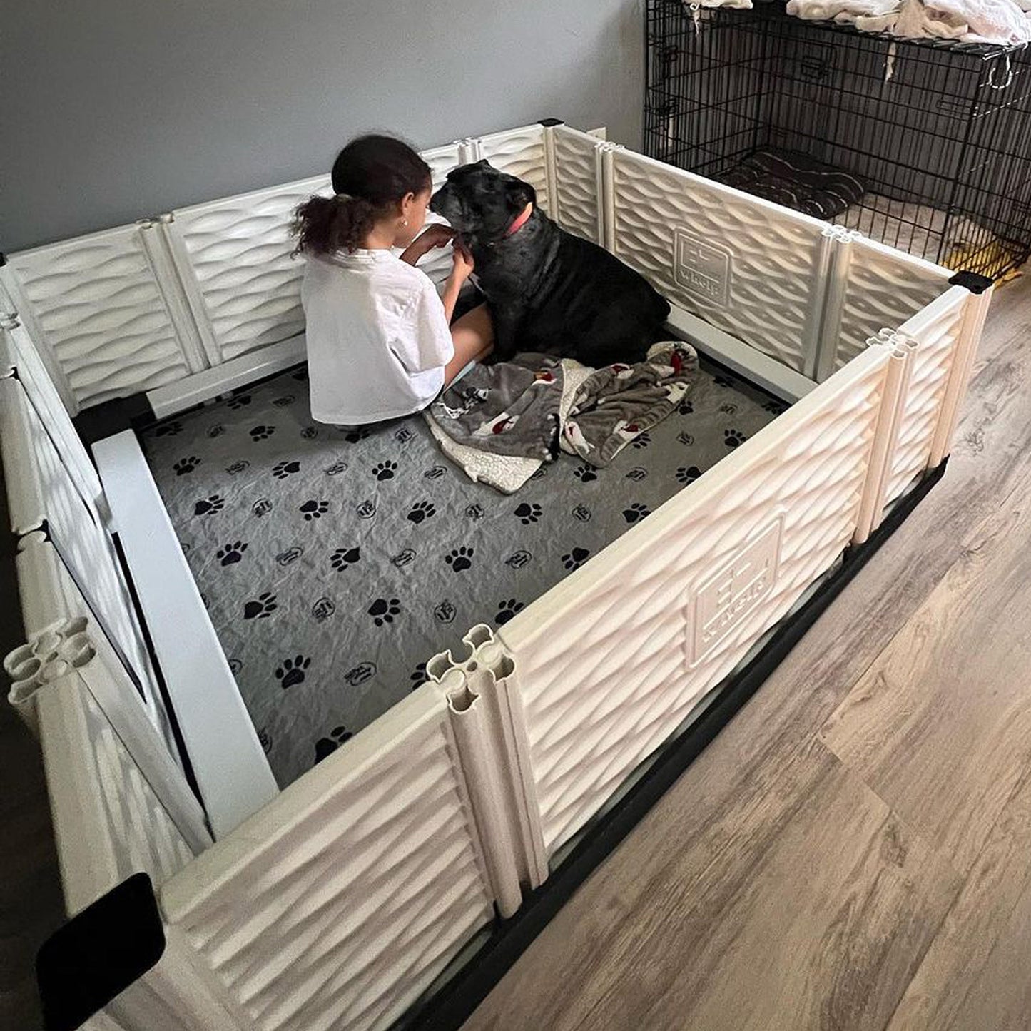 EZwhelp EZclassic 48" x 48" Dog Whelping Box Tall Playpen w/Rails & Liner, Gray