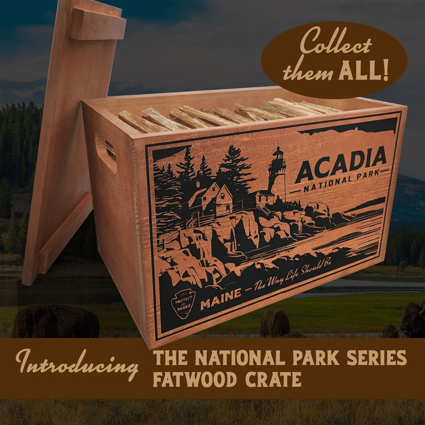 Better Wood Products Protect the Parks Fatwood Firestarter Sticks, Acadia Box