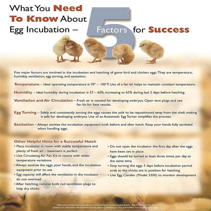 Farm Innovators 40W Digital Circulated Air Incubator for Up to 4 Eggs (3 Pack)