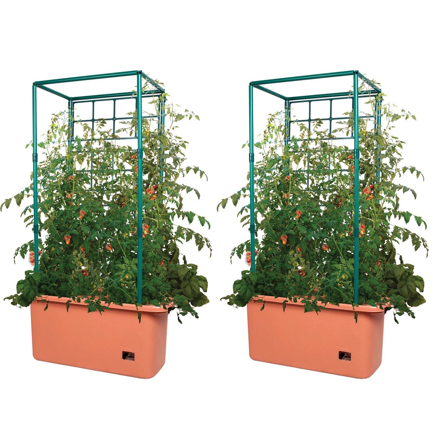 Hydrofarm GCTR 10 Gal Tomato Trellis Self Watering Grow System (2 Pack)