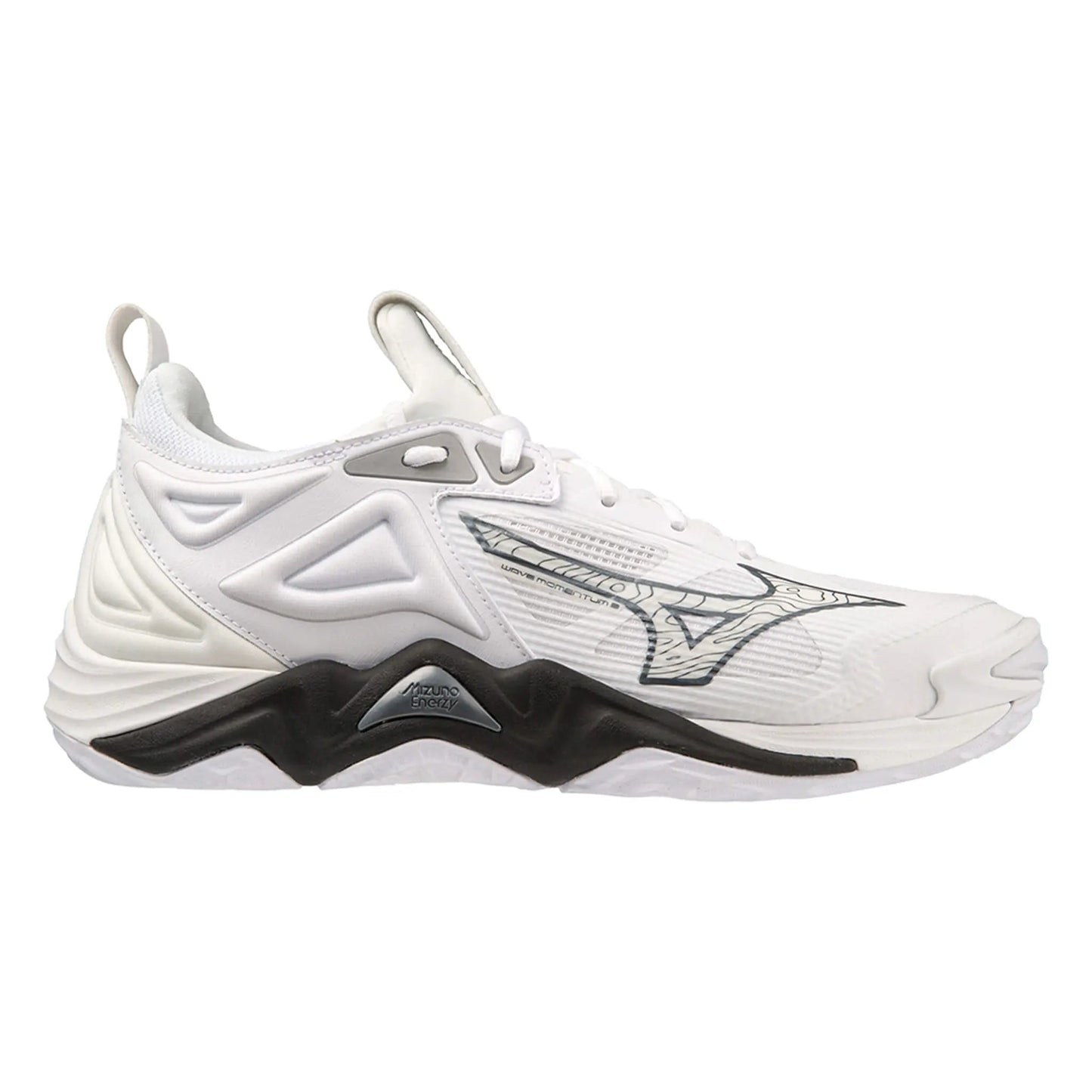 Mizuno Men's Wave Momentum 3 Volleyball Shoe