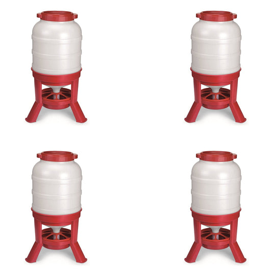 Little Giant 60 Pound Feed Heavy Duty Poultry Chicken Gravity Feeder (4 Pack)
