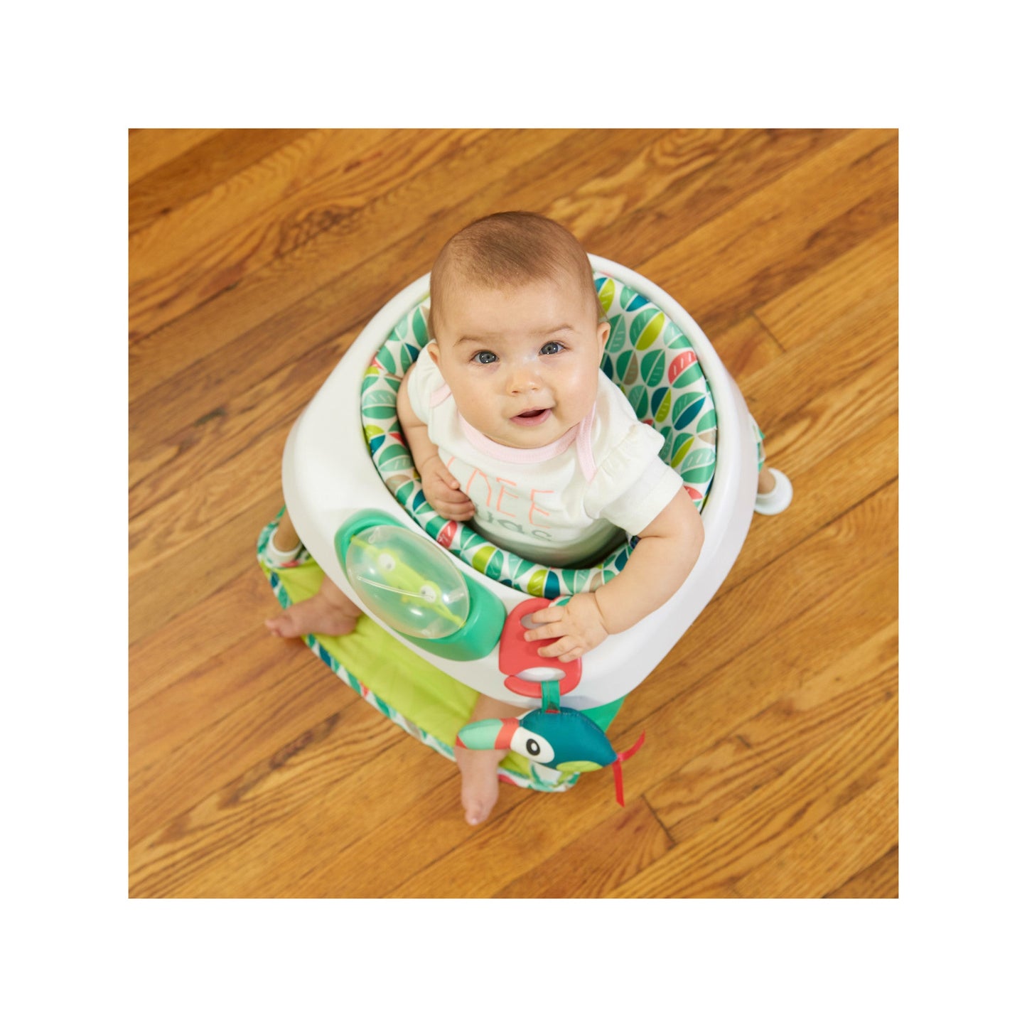 Evenflo ExerSaucer 2 In 1 Tiny Tropics Baby Activity Seat & Doorway Play Jumper