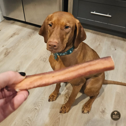 6 Inch Jumbo Bully Stick