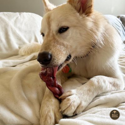 6 Inch Thick Braided Bully Stick