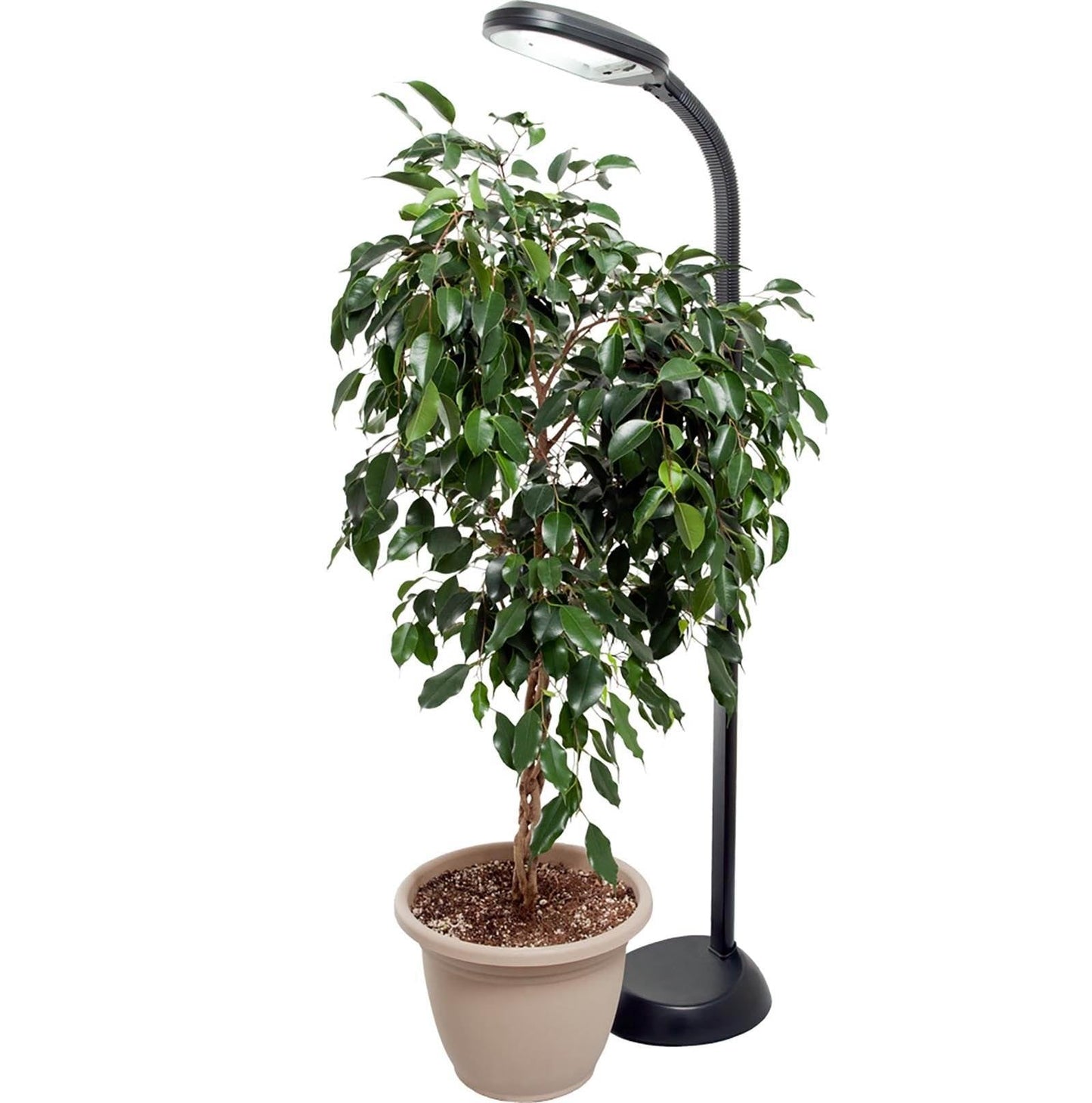 Hydrofarm Agrobrite 27 Watt Indoor Adjustable Standing Plant Lamp Light (2-Pack)