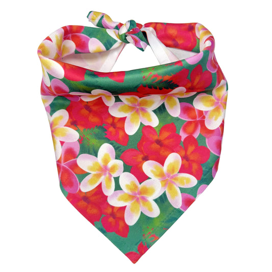 Aloha Dog Bandana