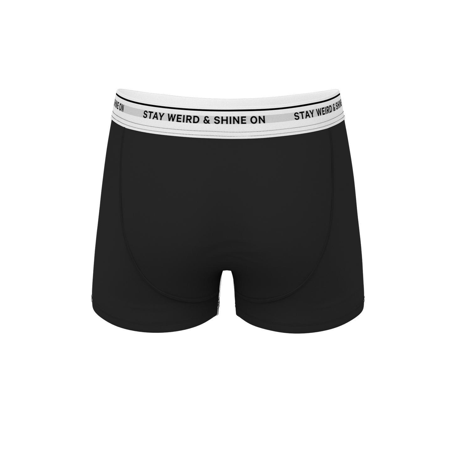 The Anthem | Black Shinesty Ball Hammock® Pouch Trunks Underwear