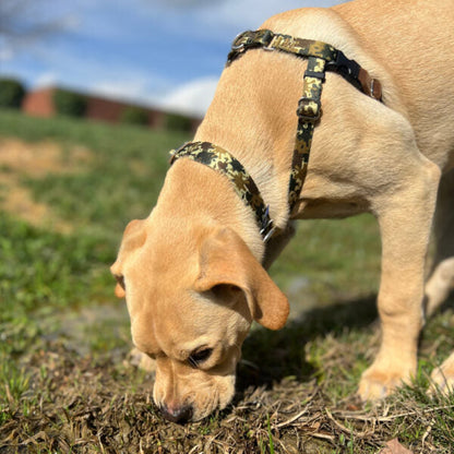 Archie Loves Mud Freedom No-Pull Dog Harness – EarthStyle