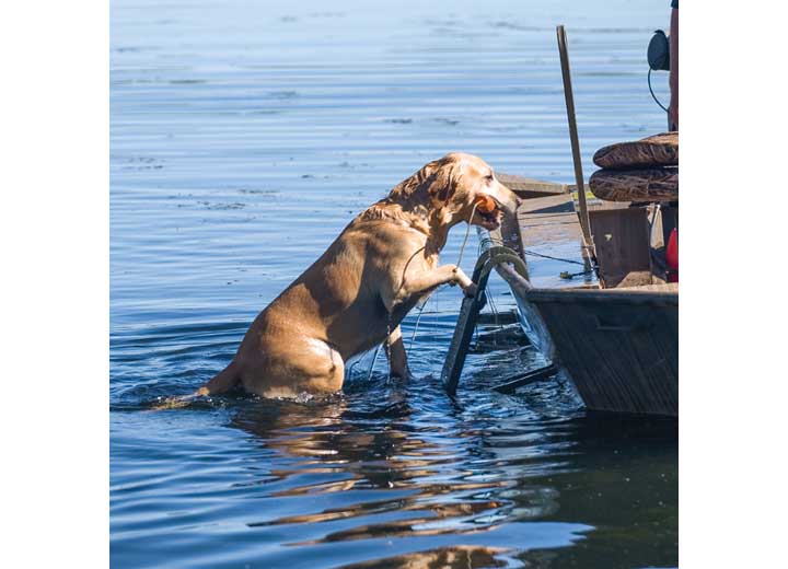 Beavertail Boats and Decoys Dog Ladder Aluminum Folding