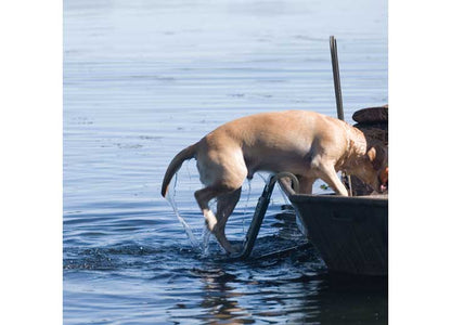 Beavertail Boats and Decoys Dog Ladder Aluminum Folding