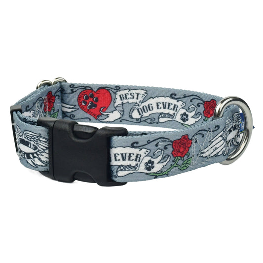 Best Dog Ever Buckle Martingale Dog Collar – EarthStyle (1" Only)