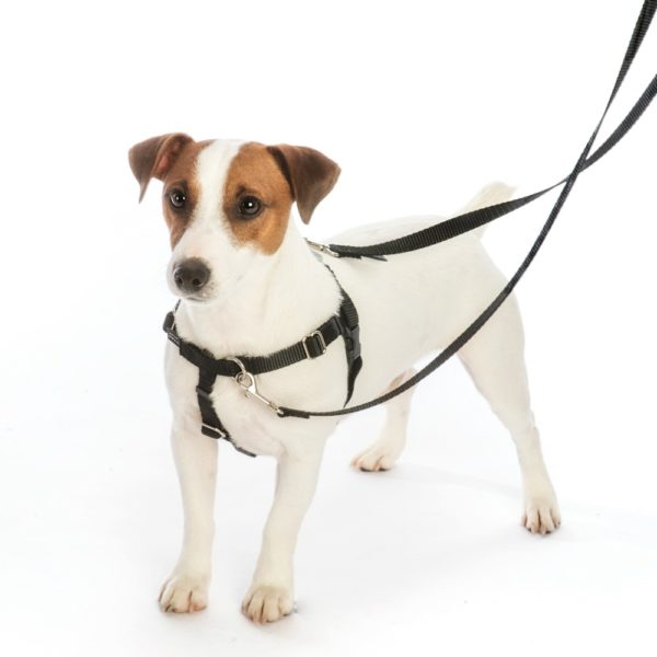 Holiday Cookies Freedom No-Pull Dog Harness – EarthStyle