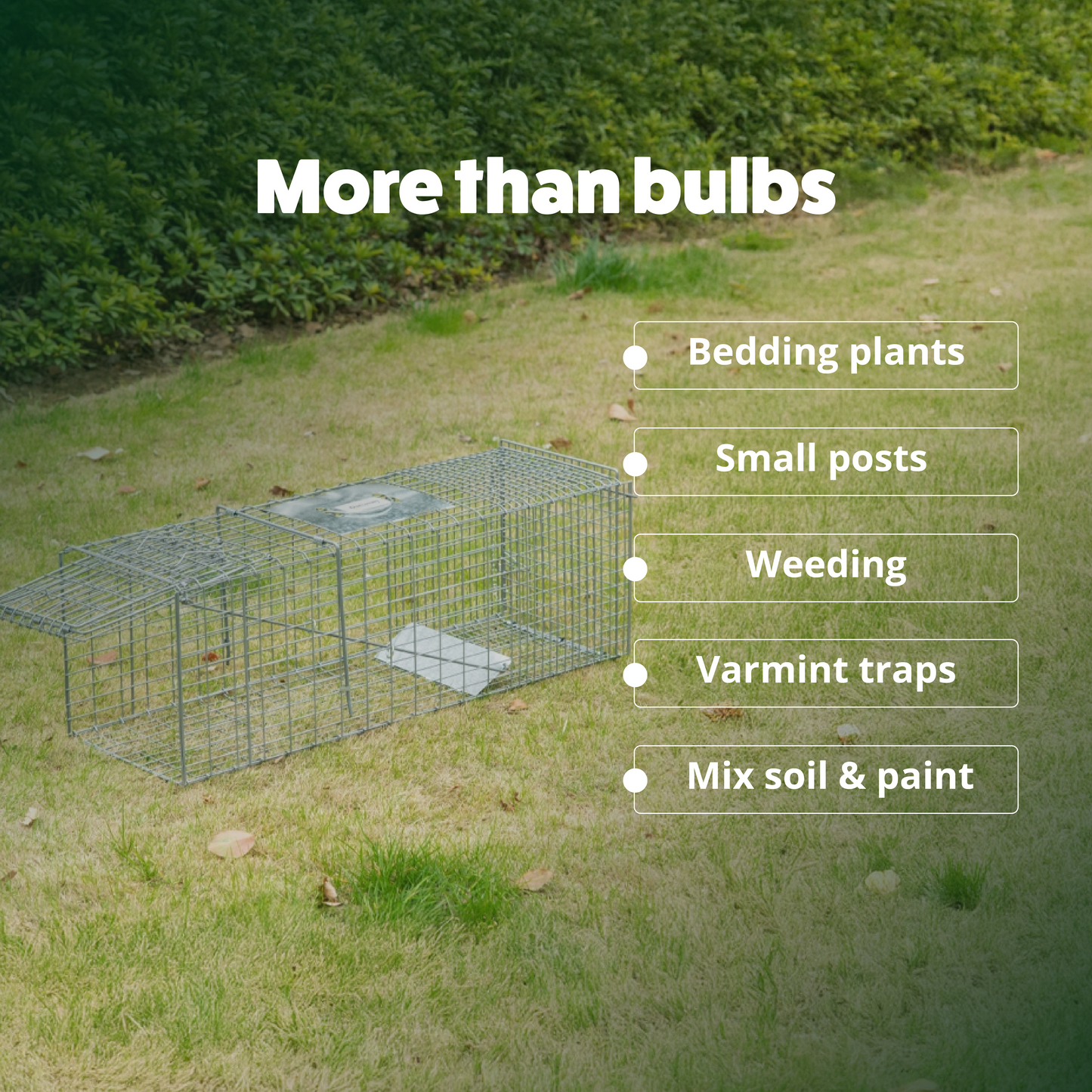 Bulb Planting Auger & Bedding Plant Tool (3" x 7")