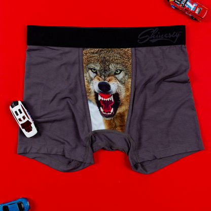 The Classics | Boy's Boxer Briefs 2 Pack