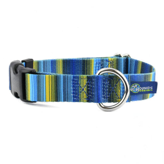 Clyde Buckle Martingale Dog Collar – EarthStyle