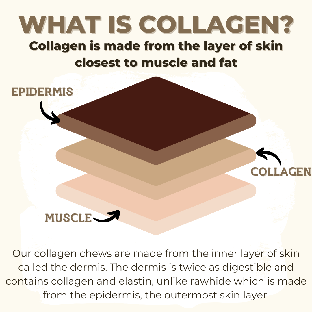 10-12 Inch Standard Collagen Stick