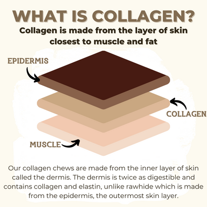 5-6 Inch Thick Collagen Stick