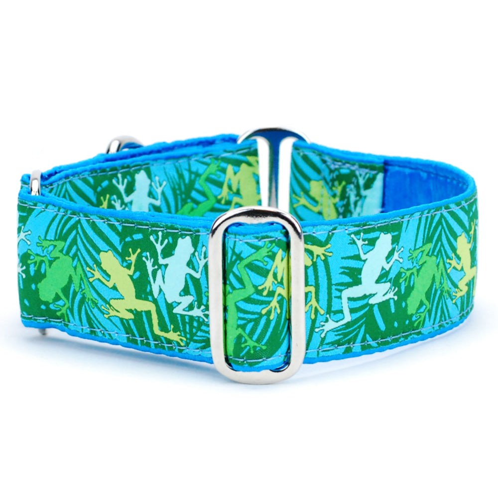 Coqui Surf – Exclusive Buckle Martingale Dog Collar