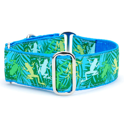 Coqui Surf – Exclusive Martingale Dog Collar