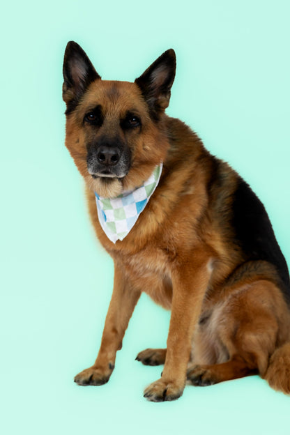 HIGH TIDE CHECKERS DREAM DOG BANDANA