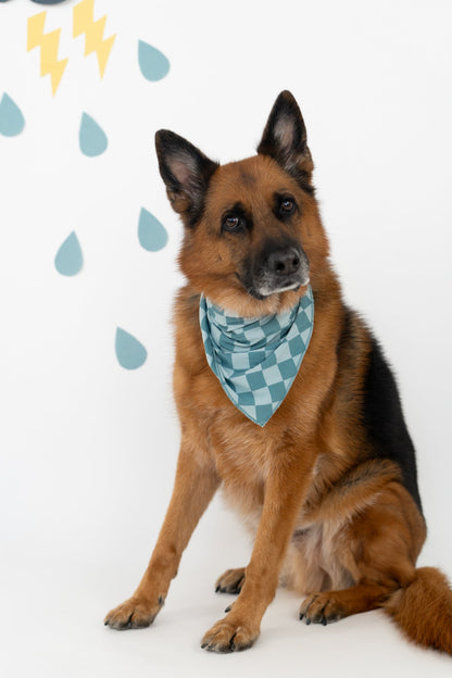 STORMY CHECKERS DREAM DOG BANDANA