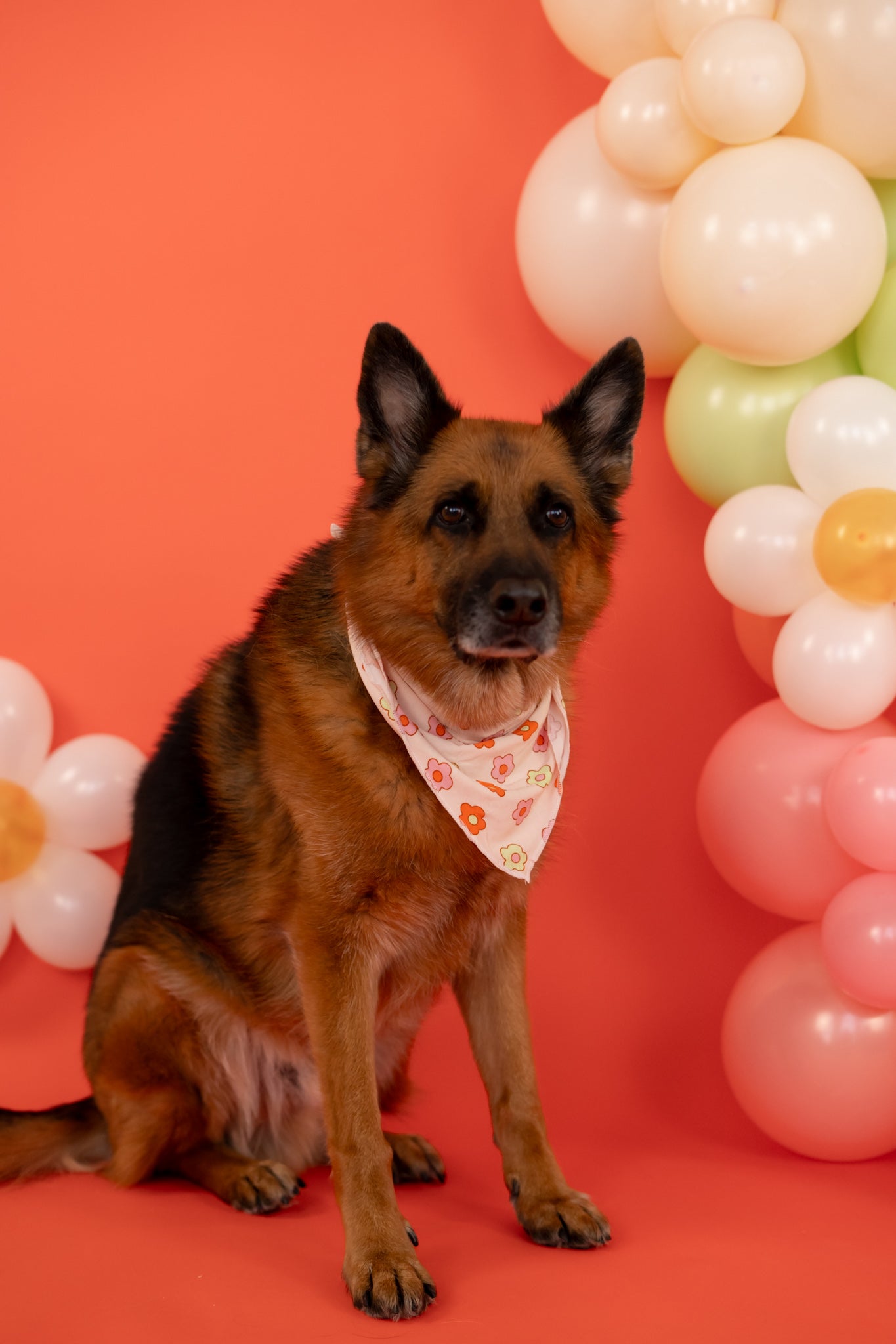 FEELIN' FLOWERFUL DREAM DOG BANDANA