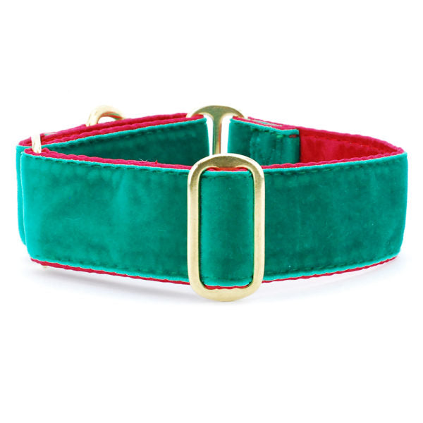 Velvet Buckle Martingale Dog Collars – Custom Design Your Own